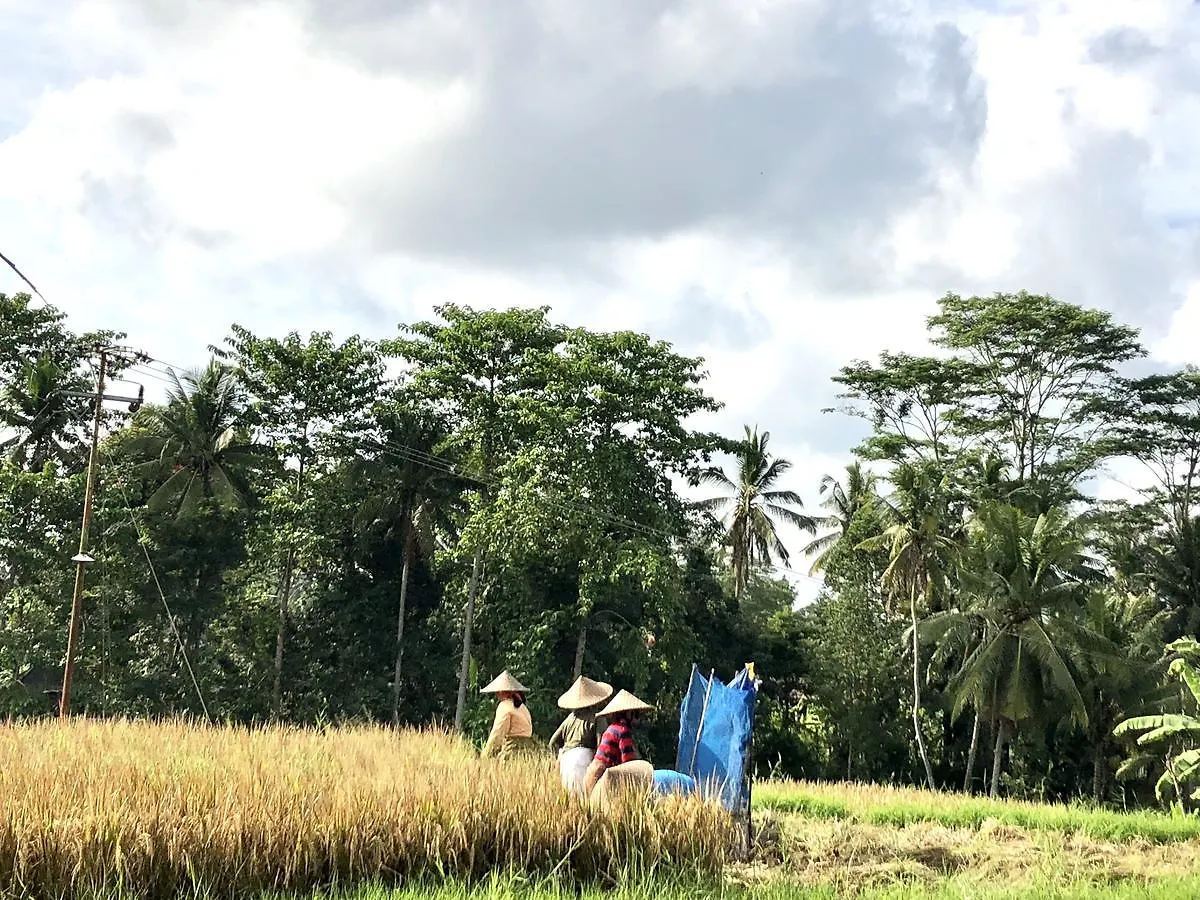 Villa Neyang Ubud 0*,