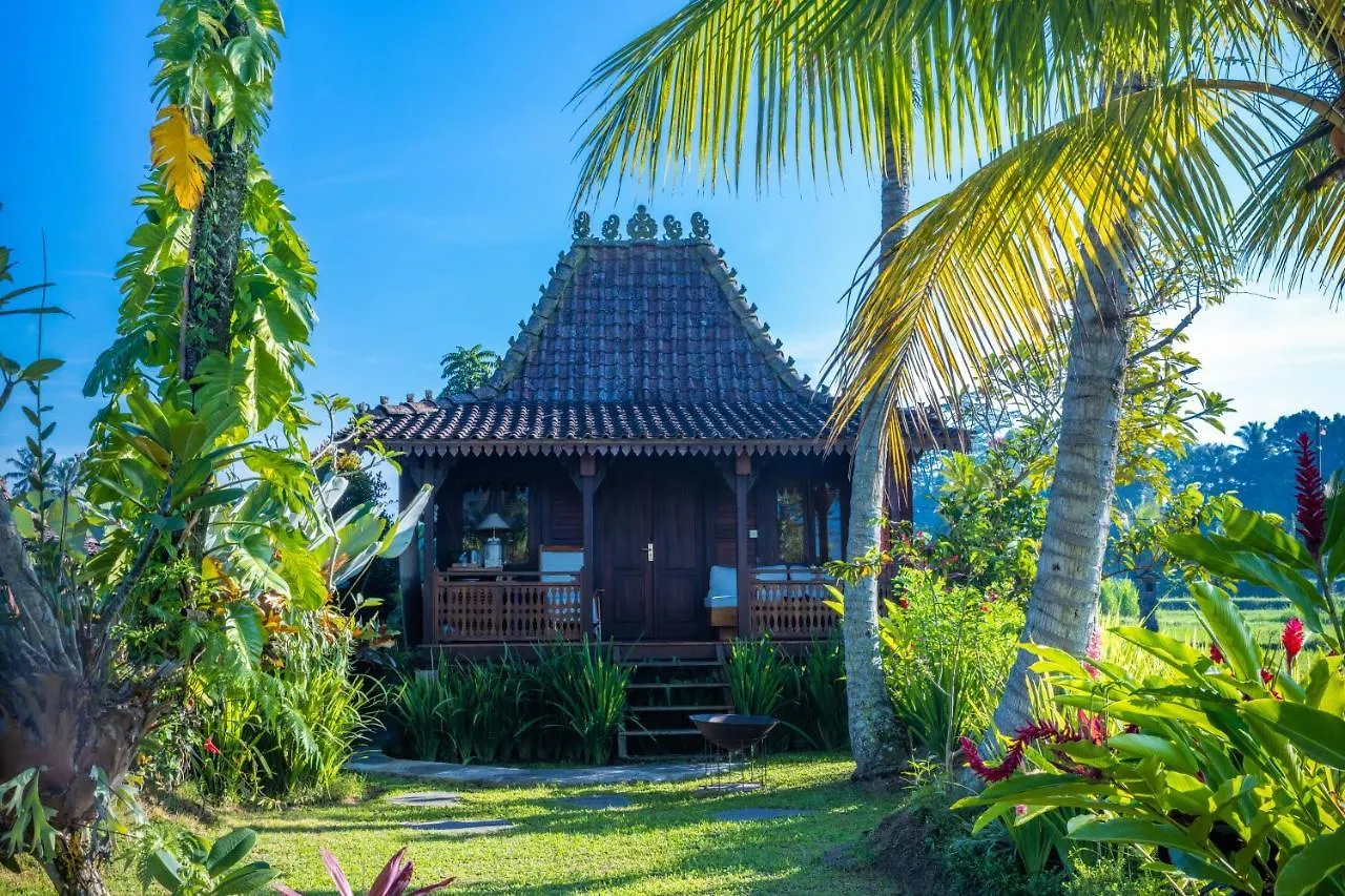 Villa Neyang Ubud  Ubud (Bali)