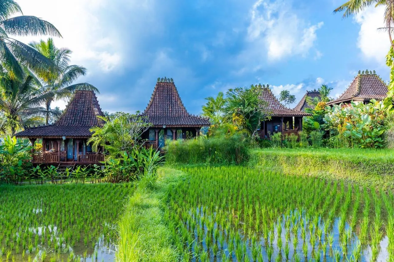 Villa Neyang Ubud