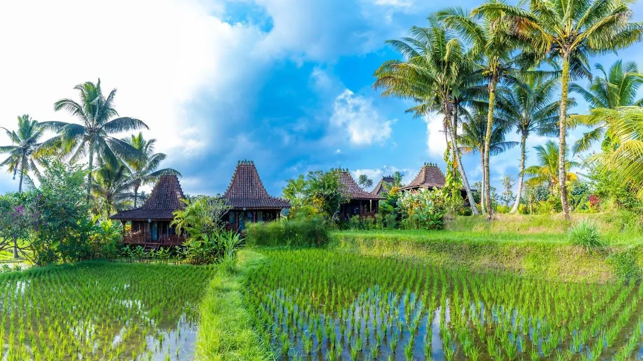 Villa Neyang Ubud  Ubud (Bali)