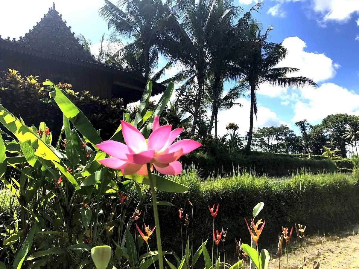 Villa Neyang Ubud  0*, Ubud (Bali)