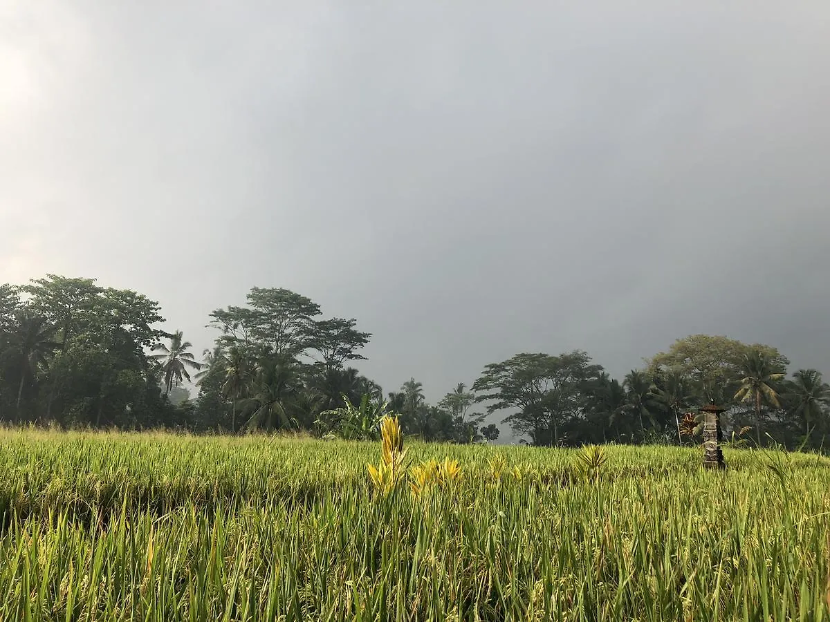 Villa Neyang Ubud  Indonesia