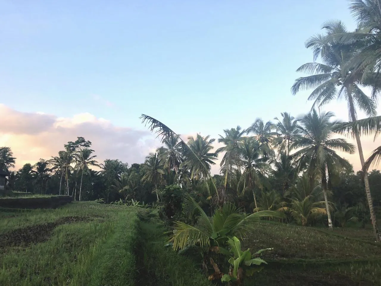 Villa Neyang Ubud
