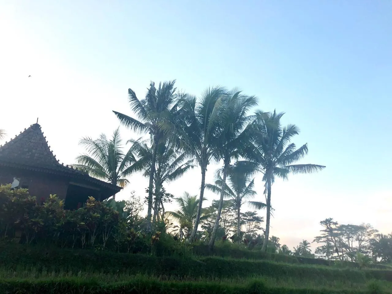 Villa Neyang Ubud  Indonesia