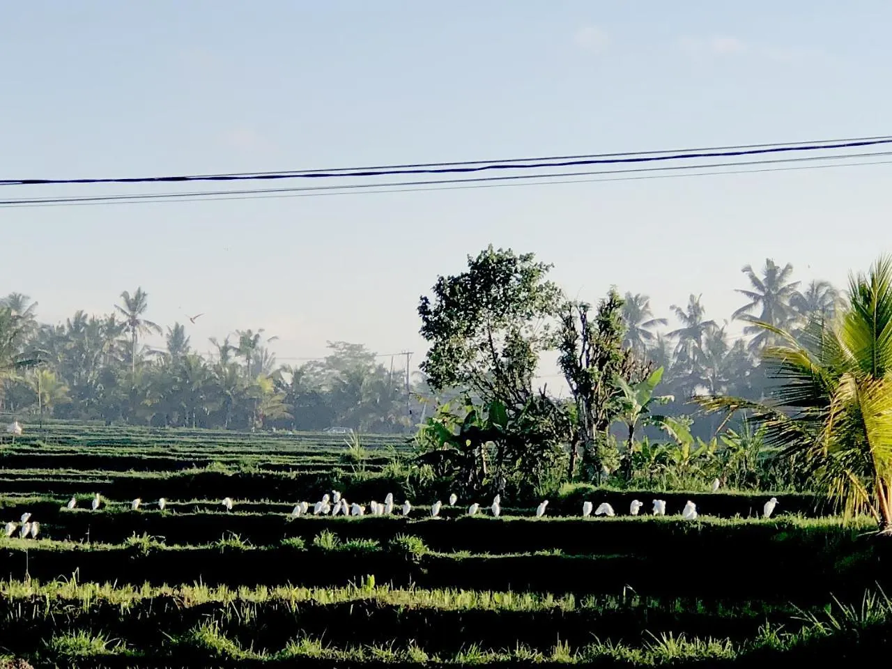 Villa Neyang Ubud  Indonesia