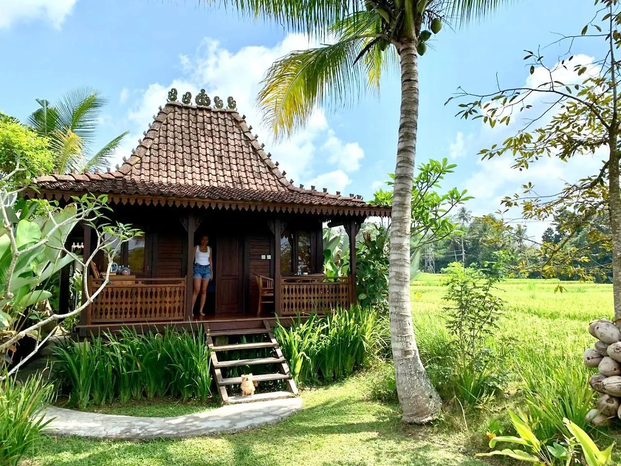 Villa Neyang Ubud  Indonesia