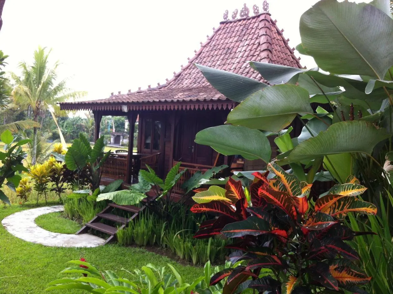 Villa Neyang Ubud  0*, Ubud (Bali)