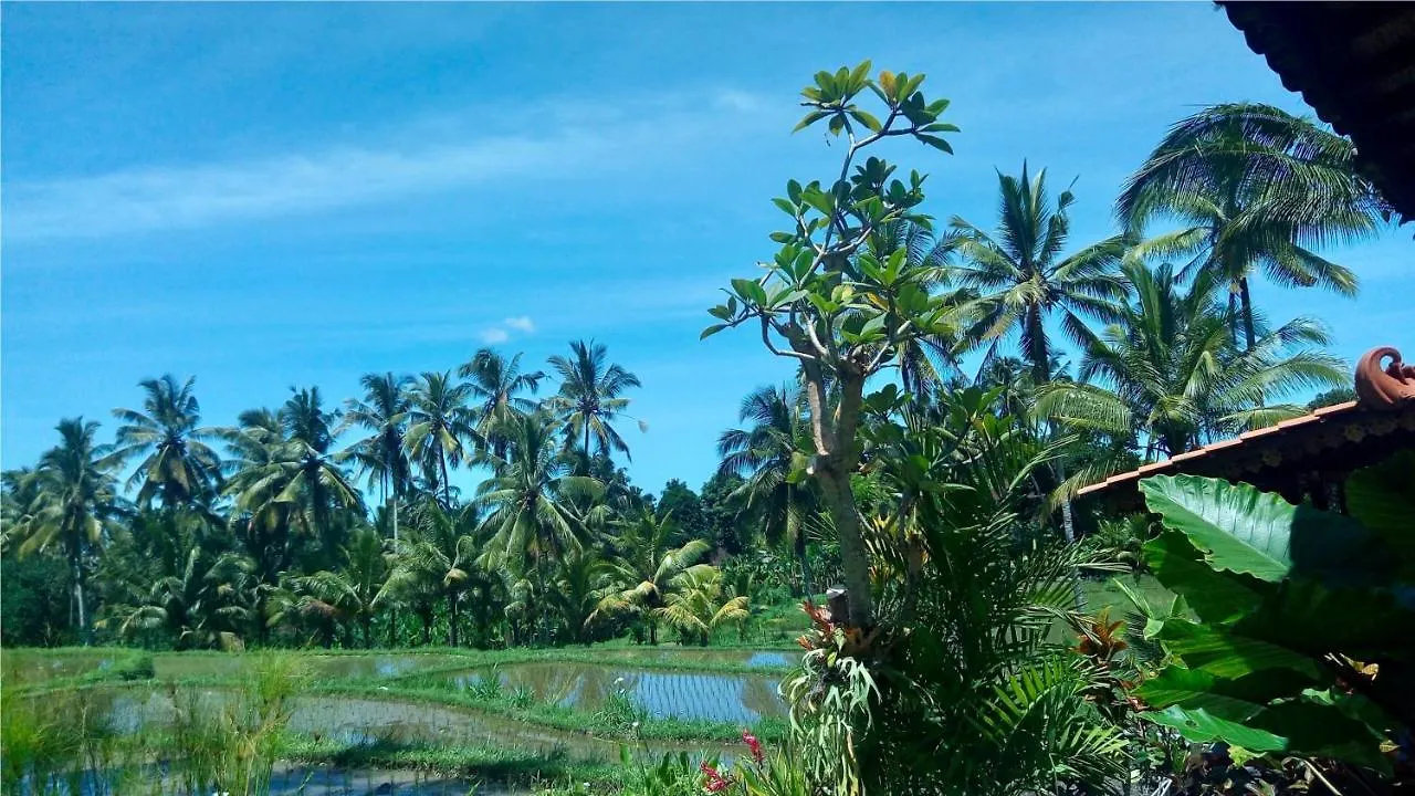 Villa Neyang Ubud