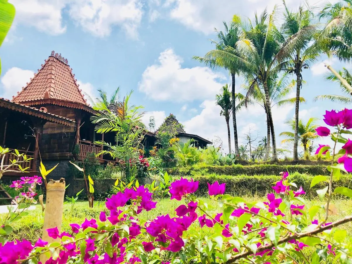 Villa Neyang Ubud  0*, Ubud (Bali) Indonesia