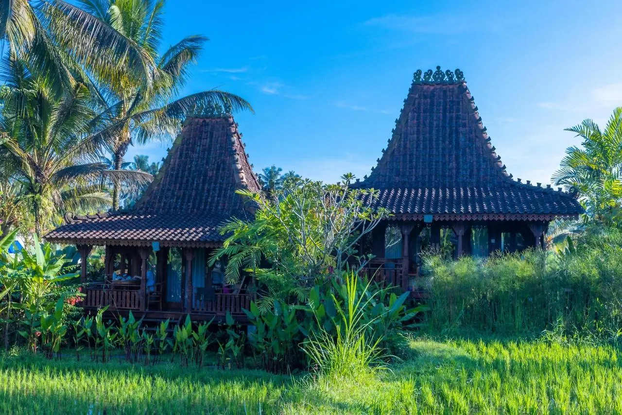 Villa Neyang Убуд