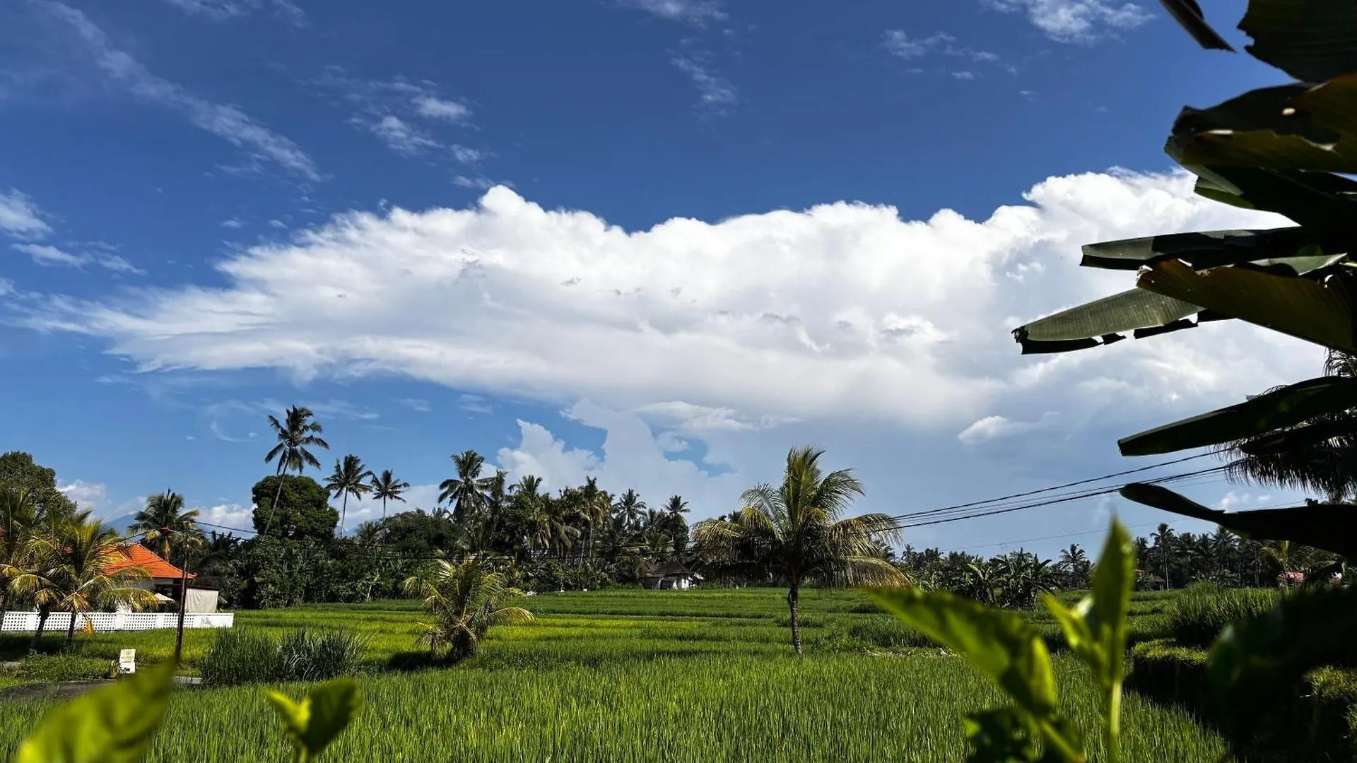 Villa Neyang Ubud