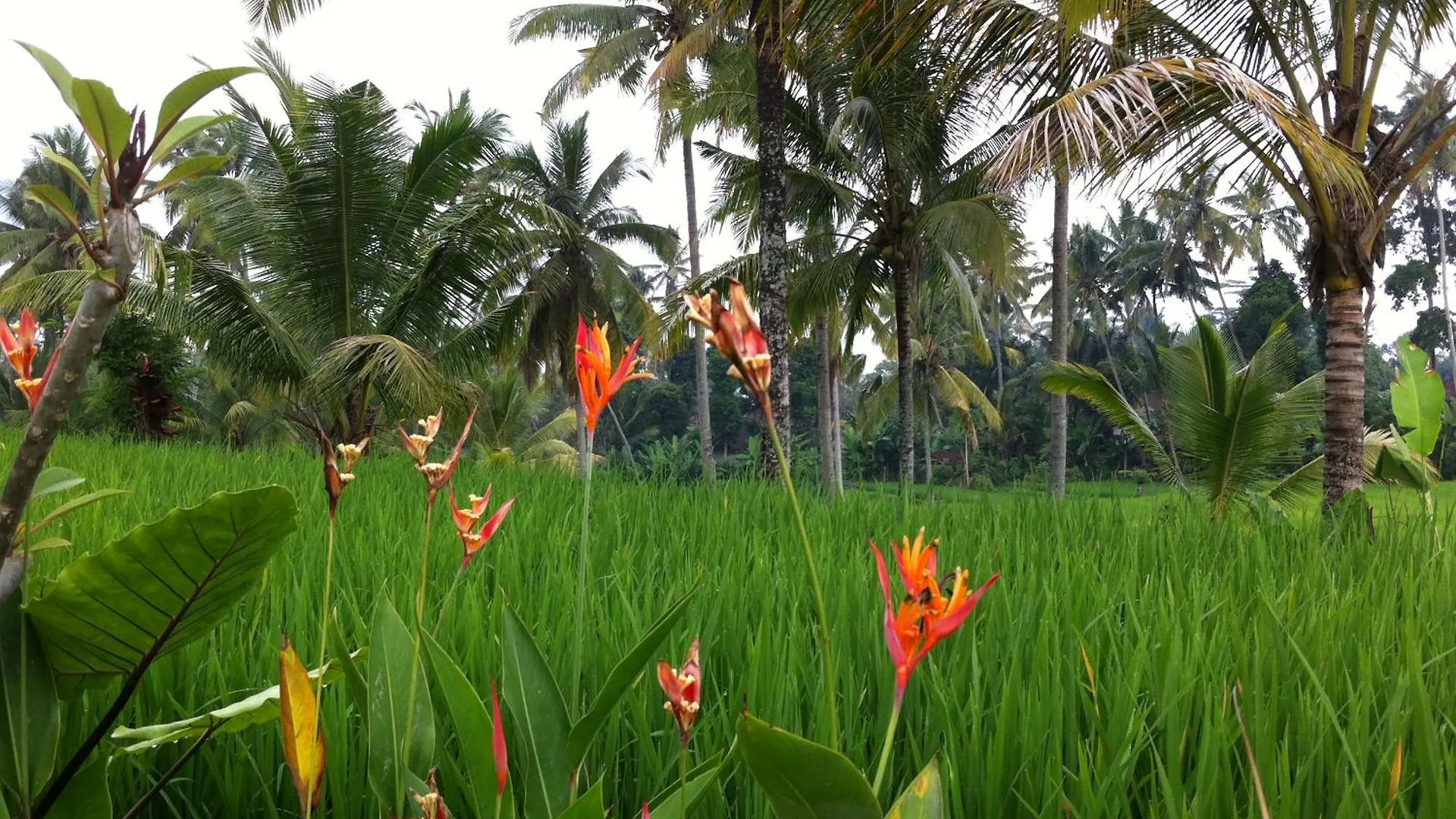 Villa Neyang Ubud   Ubud (Bali)