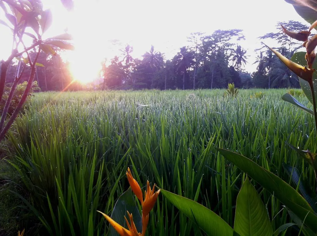Villa Neyang Ubud  0*, Ubud (Bali) Indonesia
