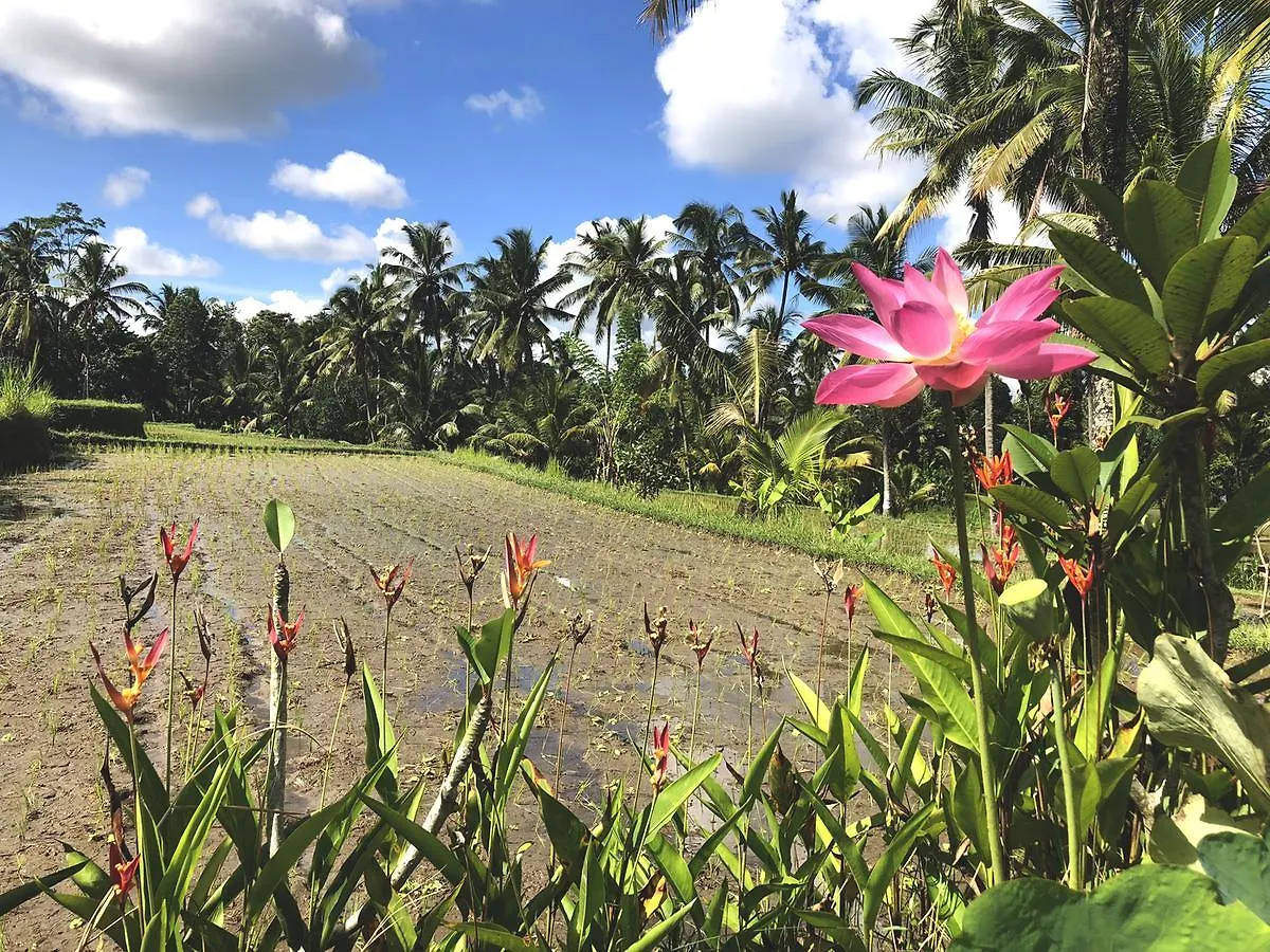 Villa Neyang Ubud