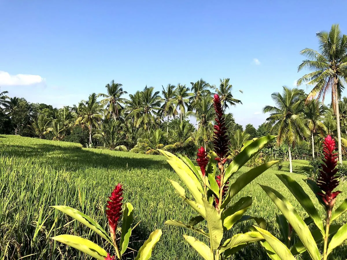 Villa Neyang Ubud   Ubud (Bali)