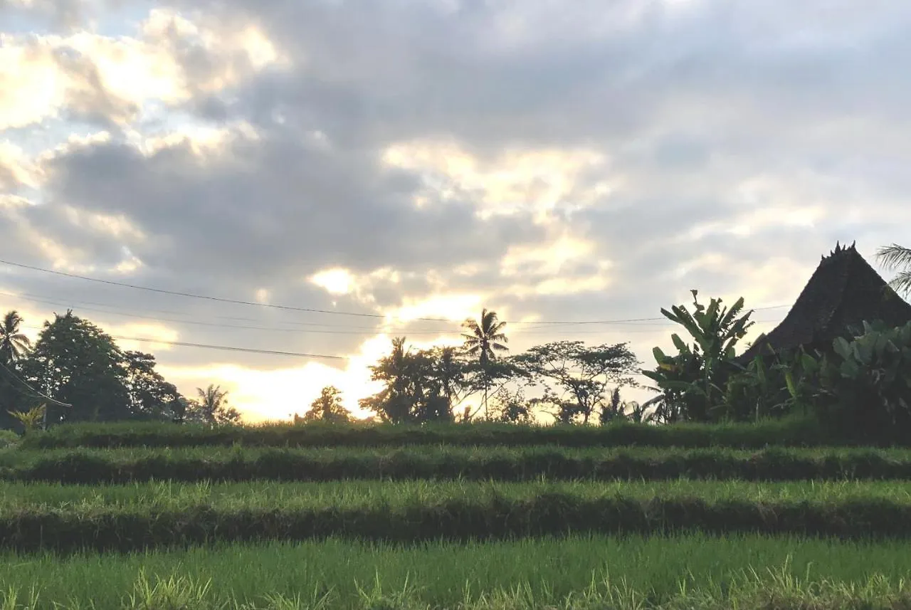 Villa Neyang Убуд