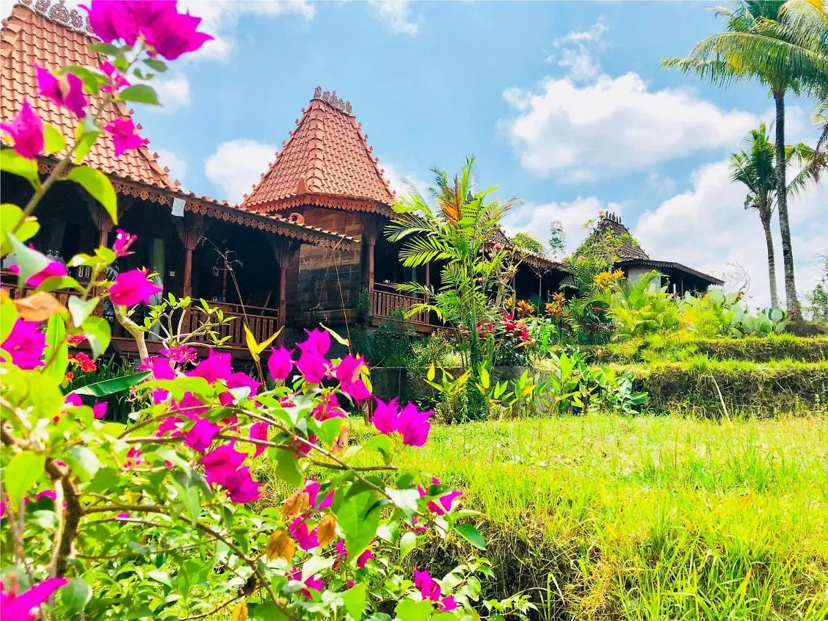 Villa Neyang Убуд