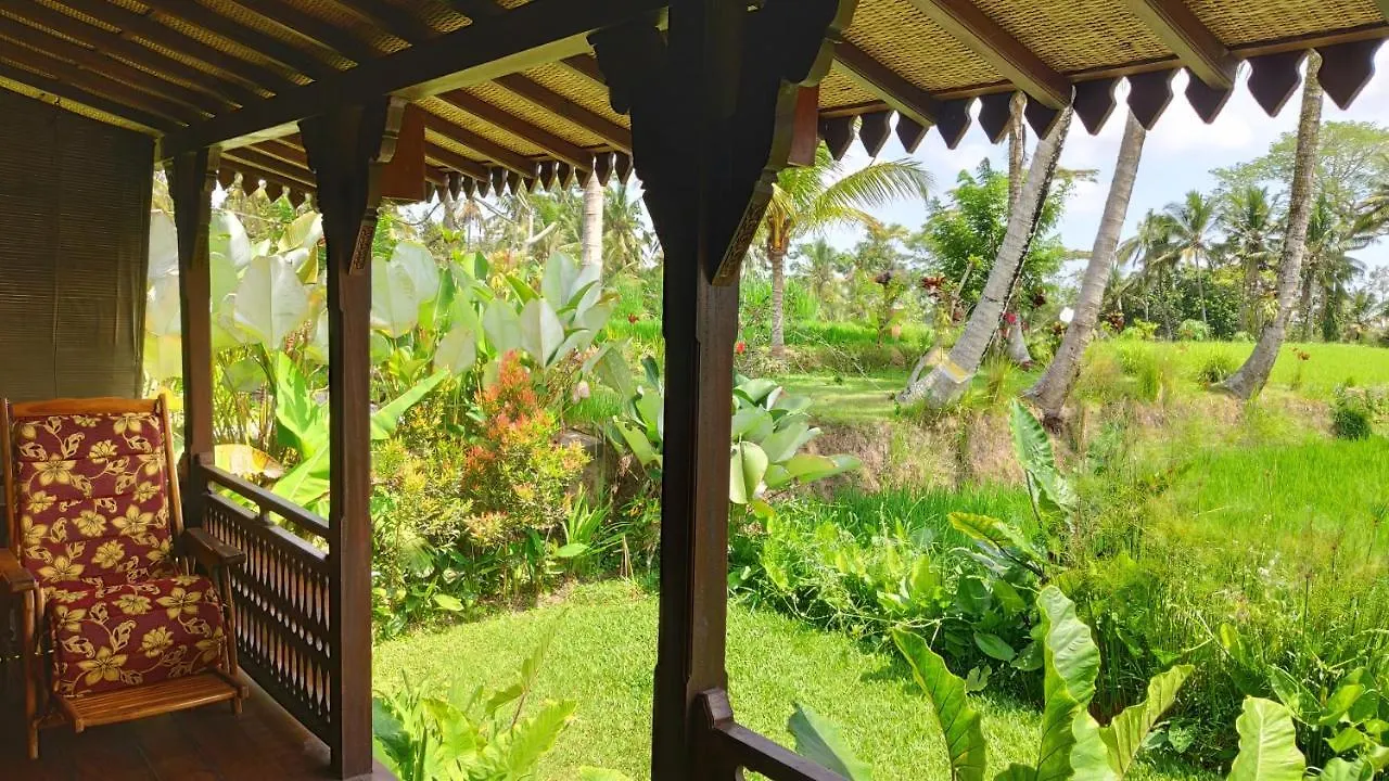Villa Neyang Убуд