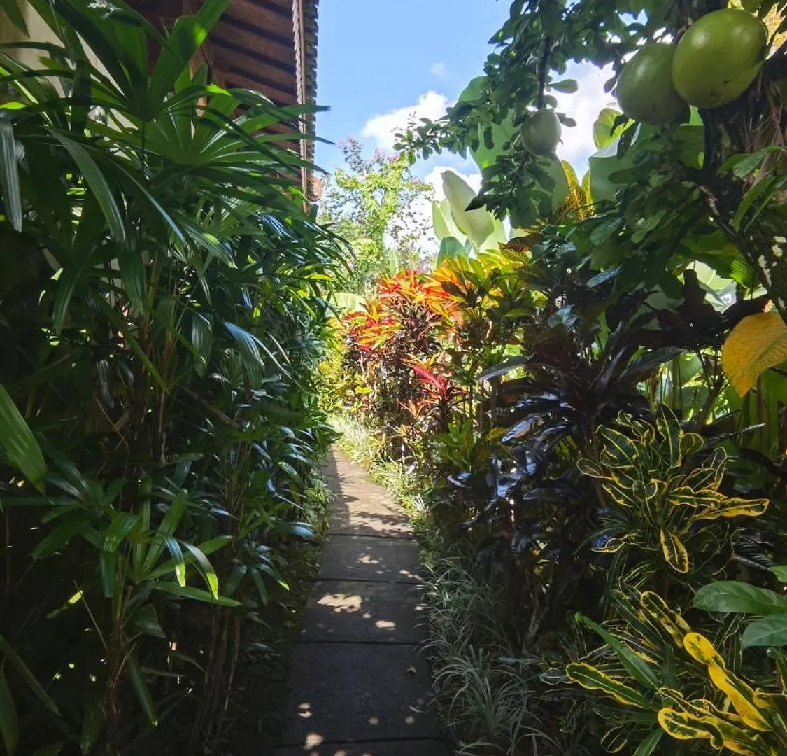 Villa Neyang Ubud 0*,  Indonésie